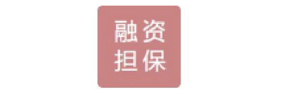 九江市融资担保有限公...